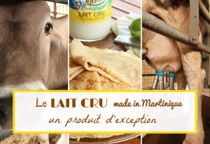 lait cru Martinique