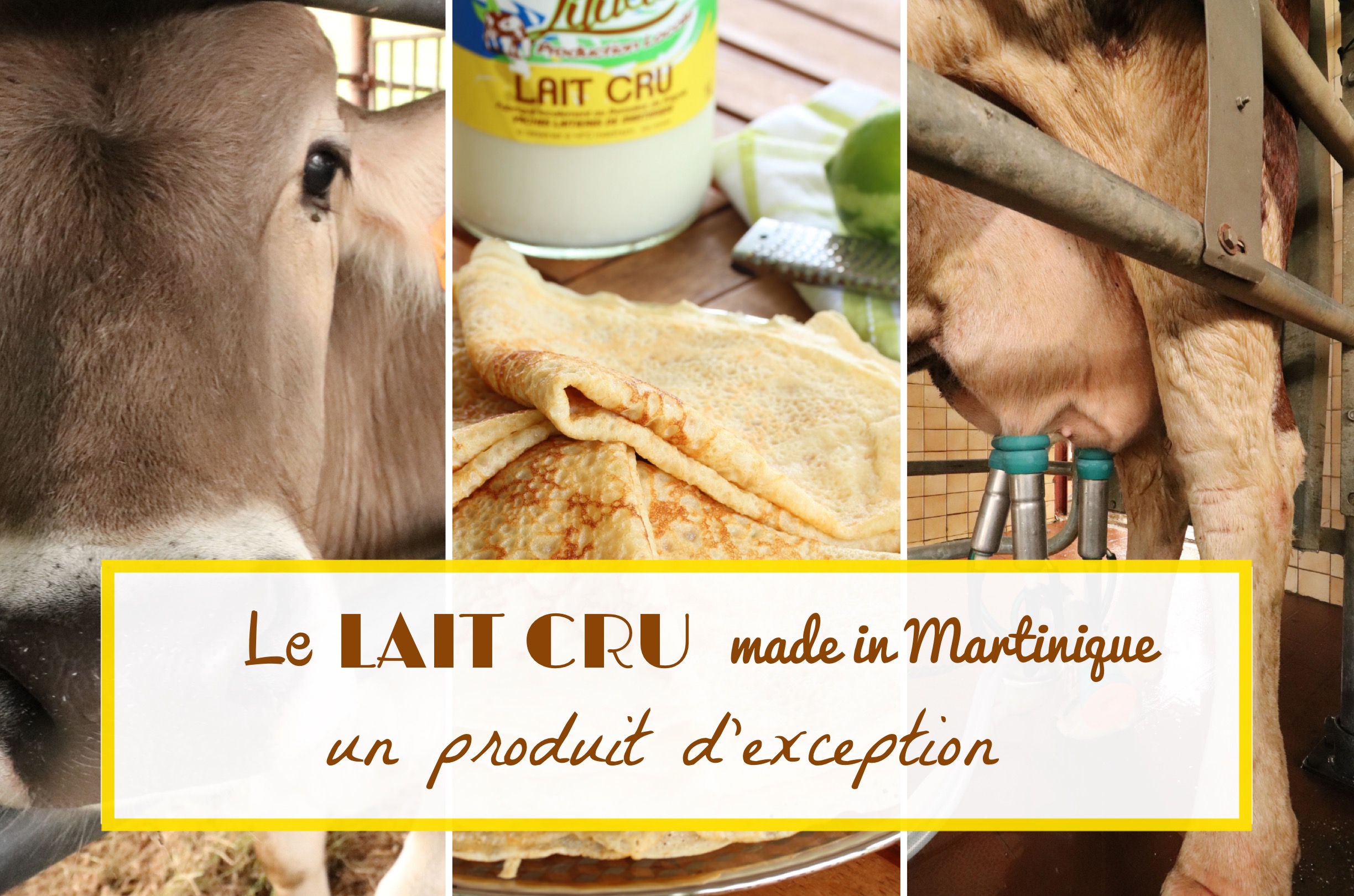 lait cru Martinique