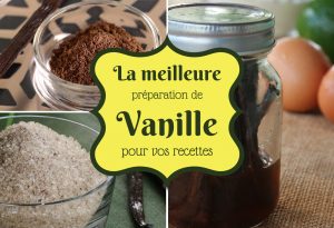 préparations de vanille Martinique Antilles