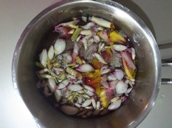 sirop d'à-tous-maux atoumo antillais