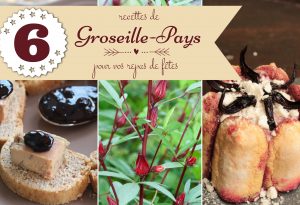 recettes groseille-pays Martinique