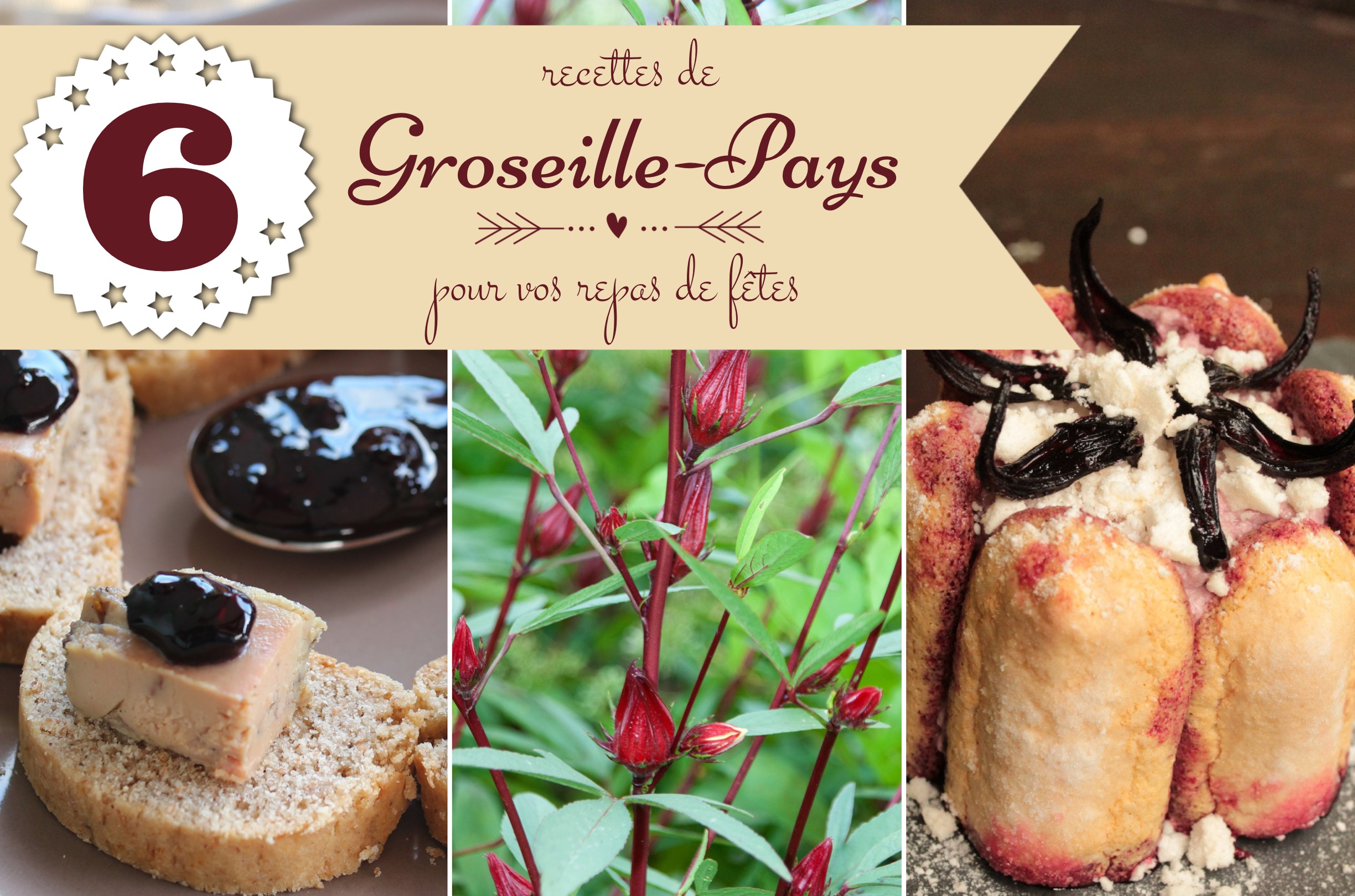 recettes groseille-pays Martinique