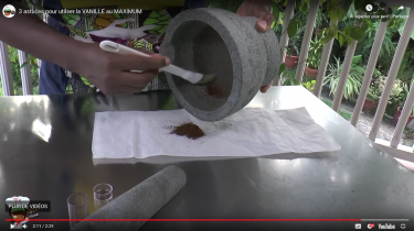 poudre de vanille artisanale Antilles