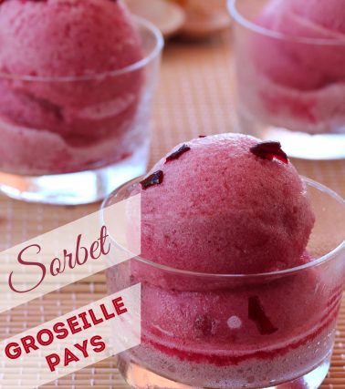 Recette du SORBET GROSEILLE PAYS de la TeaM