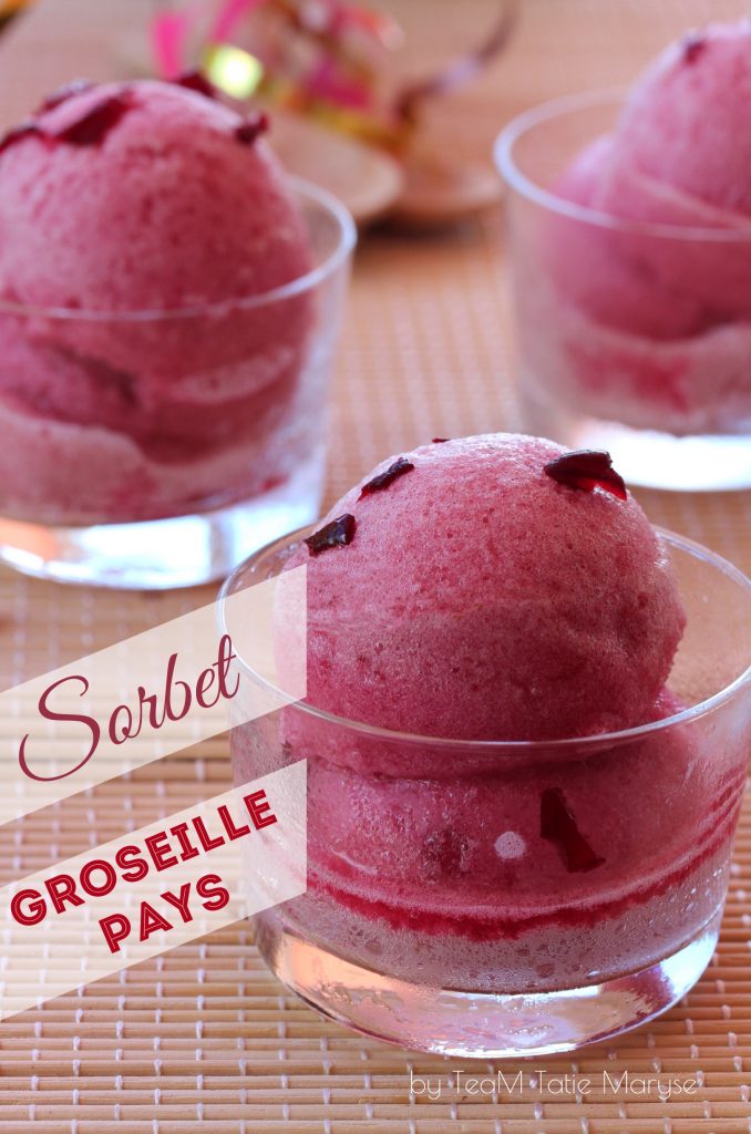 Sorbet groseille pays