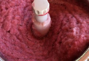 recette sorbet bissap