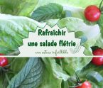 rafraîchir salade