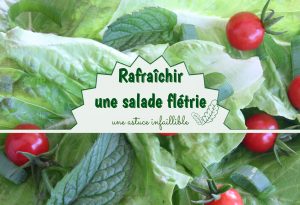 rafraîchir salade