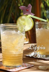 Lippia Fizz cocktail antillais brisée bière