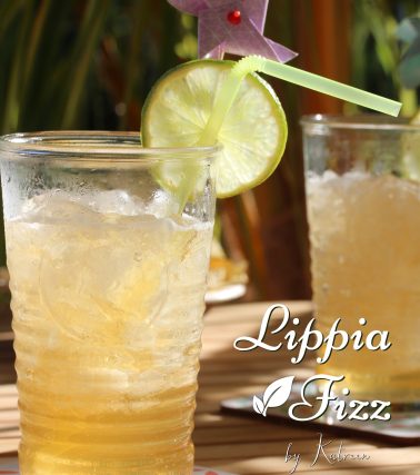 Recette du cocktail LIPPIA FIZZ, selon Katreen