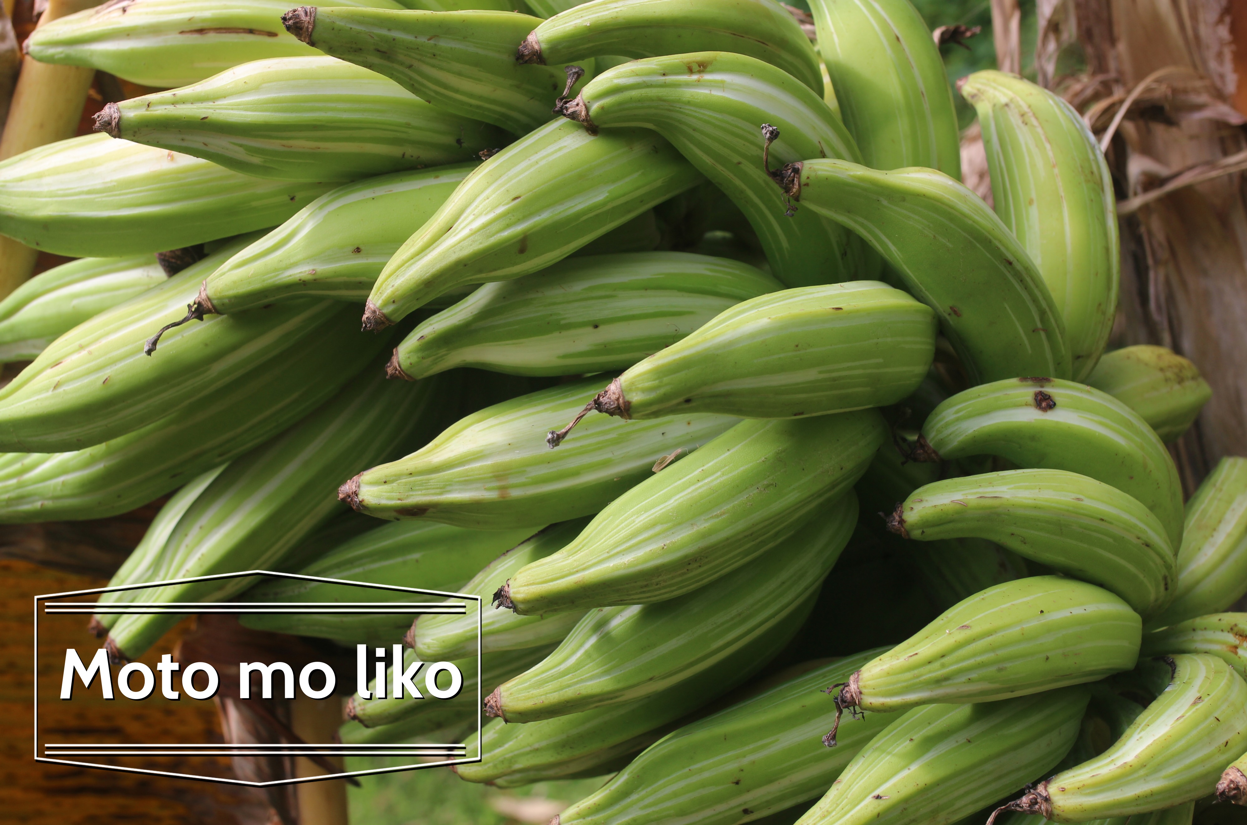 banane plantain moto mo liko