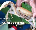 choisir les crabes de terre guadeloupe