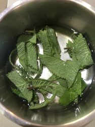 yaourt aromatisés thym