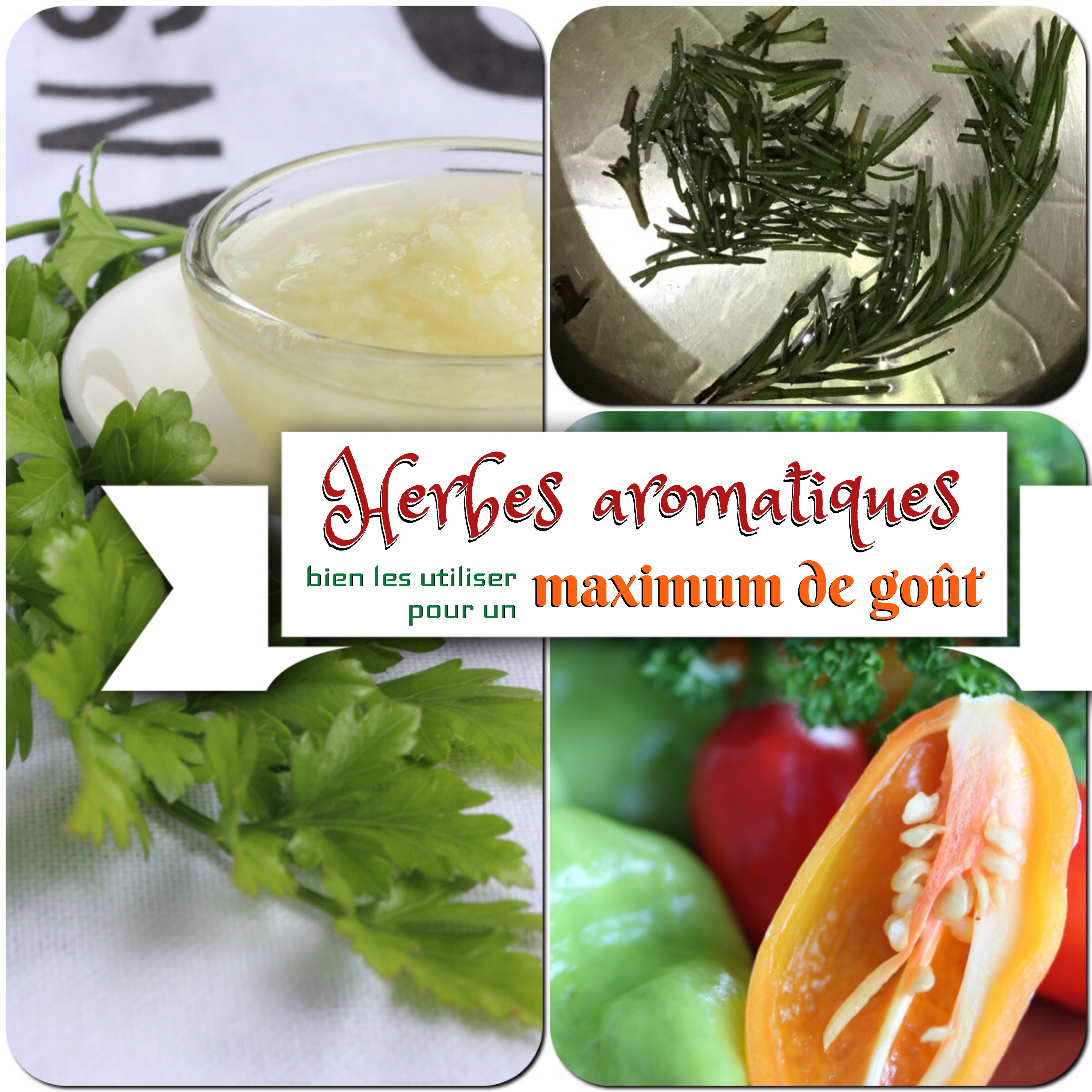 herbes aromatiques antillaises max de goût