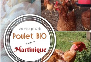 poulet bio Martinique