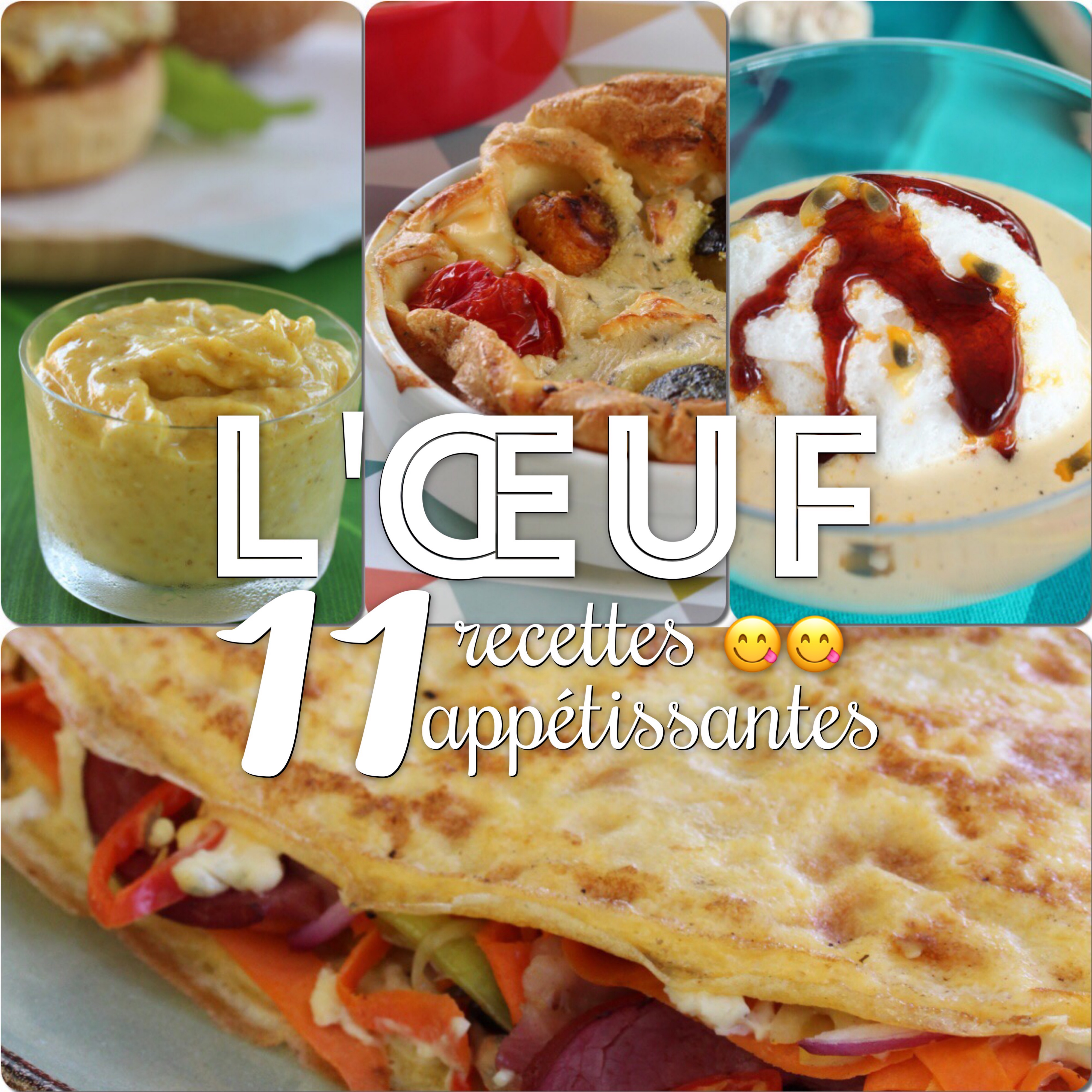 oeuf 11 recettes appétissantes