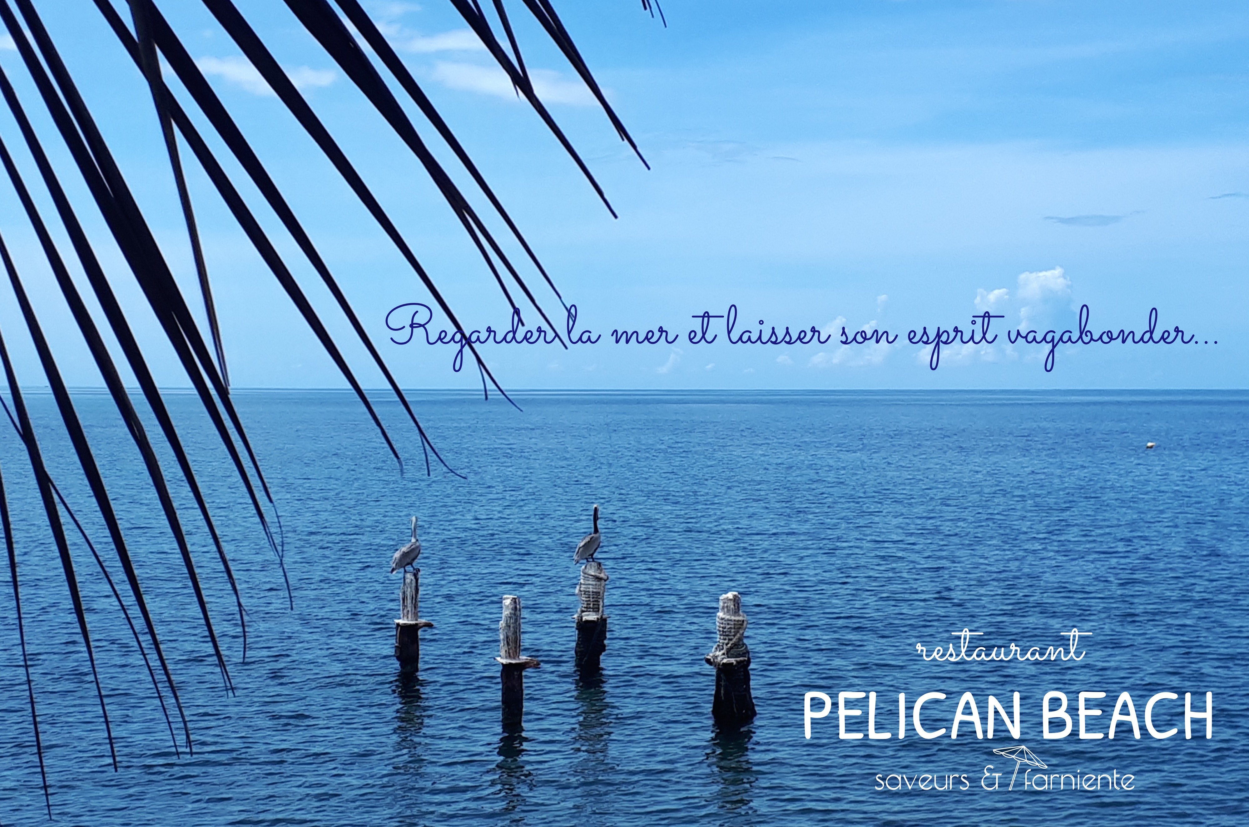 Restaurant Martinique | Le PELICAN BEACH