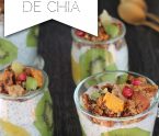 pudding de chia