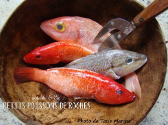 poissons antillais poissons de roches watalibi gorette