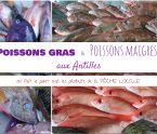 poissons gras antillais poissons maigres