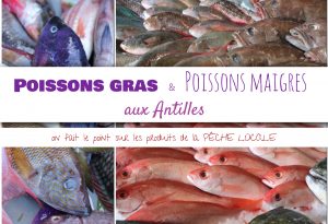 poissons gras antillais poissons maigres