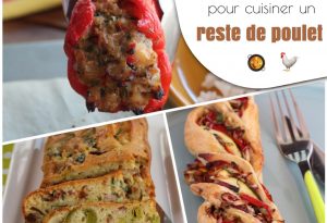 Recettes restes de poulet