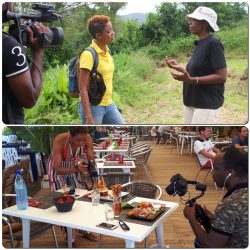 fixeur Martinique reportage culinaire Agence Ankanari