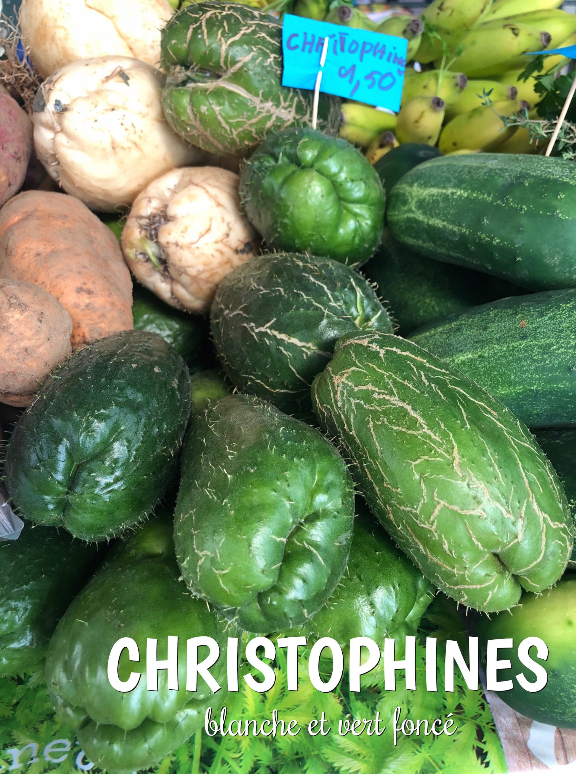 variétés de christophines aux Antilles