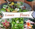 cuisinez avec des fleurs antillaises