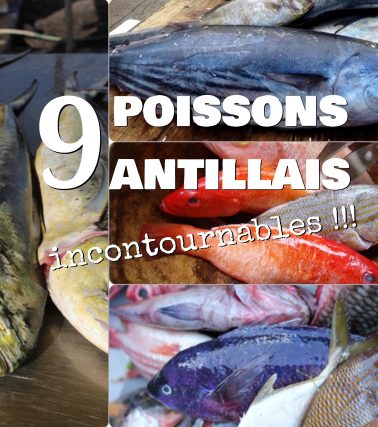 Sitôt pêchés, sitôt mangés : 9 POISSONS INCONTOURNABLES aux Antilles