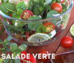 salade verte antillaise pourpier véronique herbe couresse