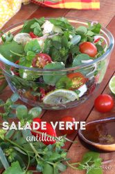 salade verte antillaise pourpier véronique herbe couresse