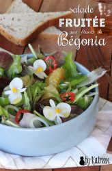 salade fruitée aux fleurs de bégonia