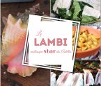 lambi mollusque star des antilles