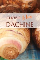choisir le bon dachine taro
