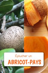 éplucher un abricot-pays