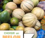 choisir un melon toujours sucré