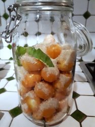 punch mombin antillais