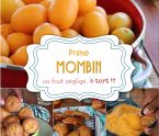 prune mombin Martinique