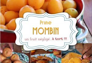 prune mombin Martinique