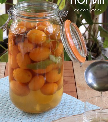 Recette du Punch aux prunes MOMBIN, selon Katreen