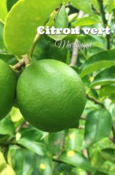 citron vert Martinique arômes de la pâtisserie antillaise