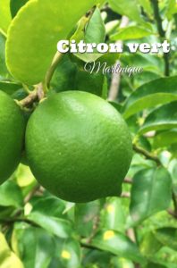 citron vert Martinique arômes de la pâtisserie antillaise