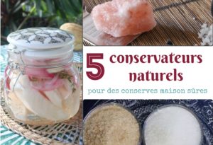 5 conservateurs alimentaires naturels