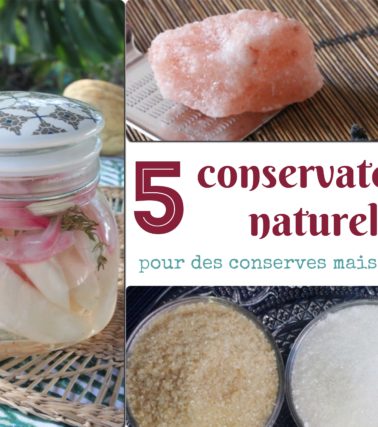 5 conservateurs alimentaires naturels pour vos conserves maison