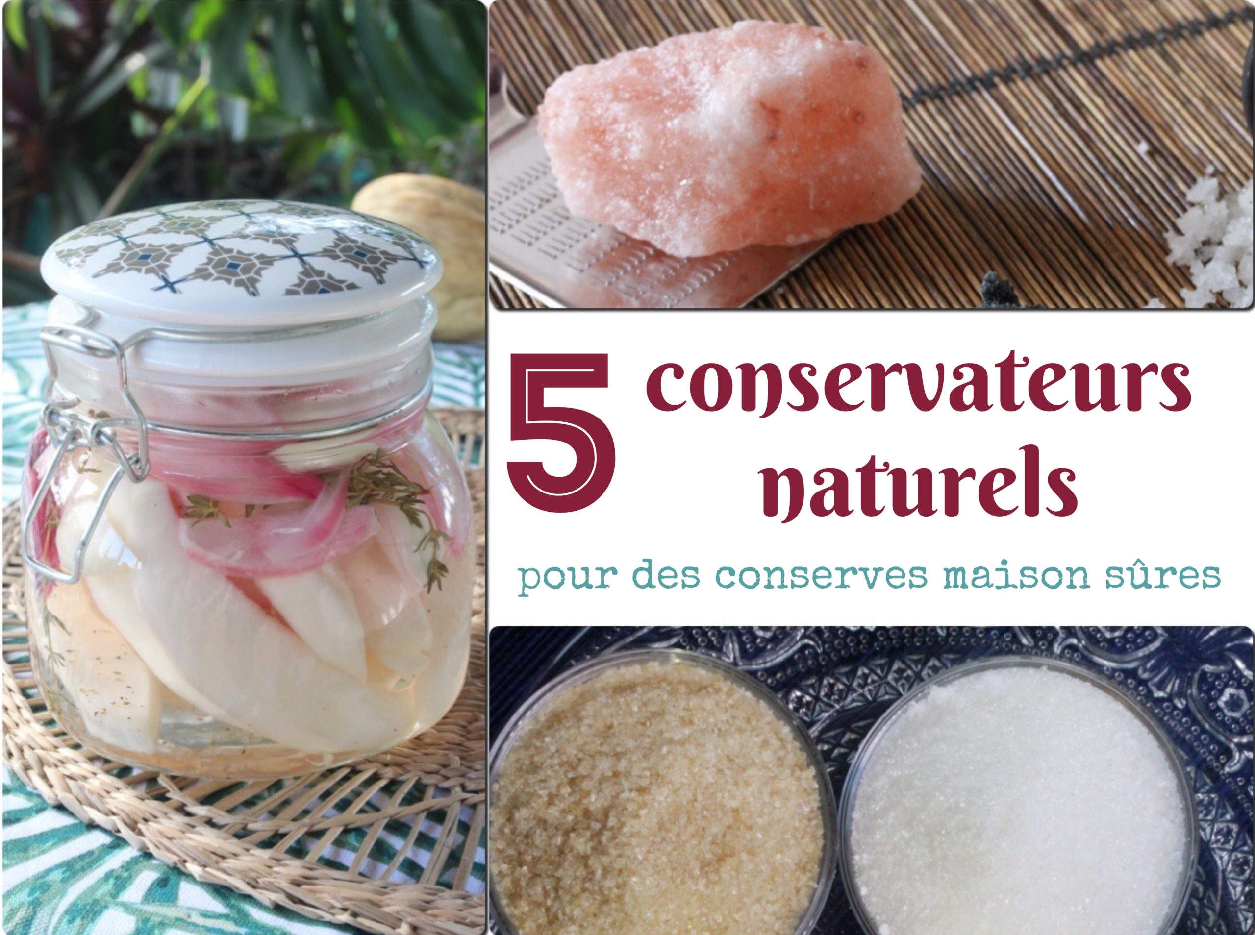 5 conservateurs alimentaires naturels pour vos conserves maison