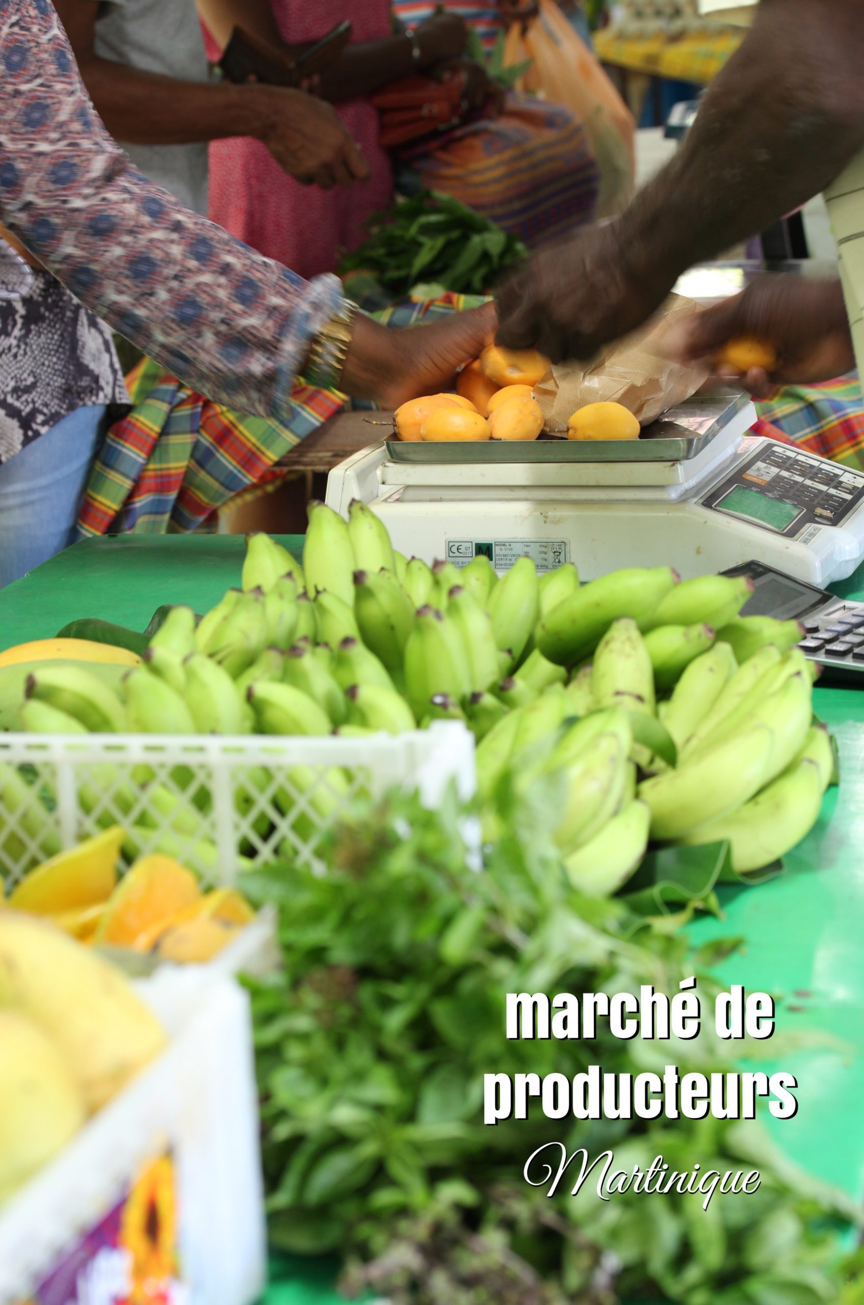 marché de producteurs Orga péyi Martinique bien manger pas cher