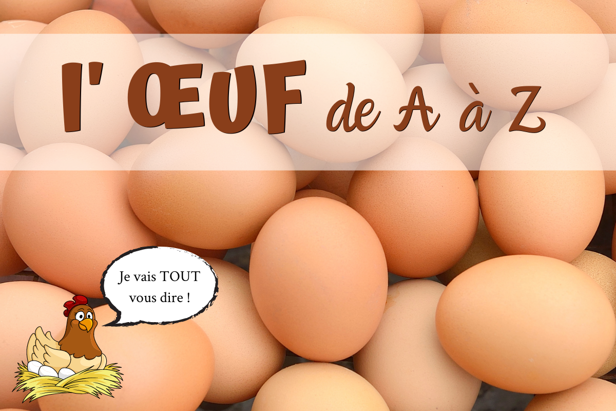 l'oeuf de A à Z