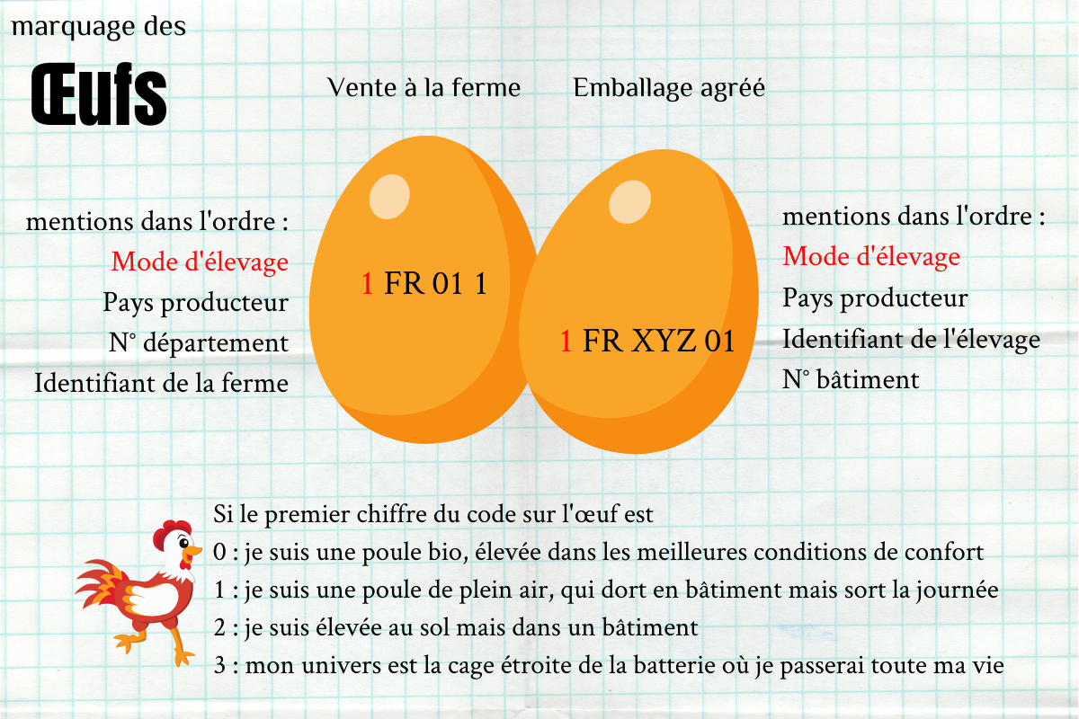 traçabilité marquage des oeufs