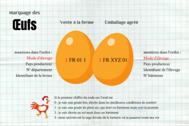 traçabilité marquage des oeufs